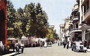 Tiaret 603